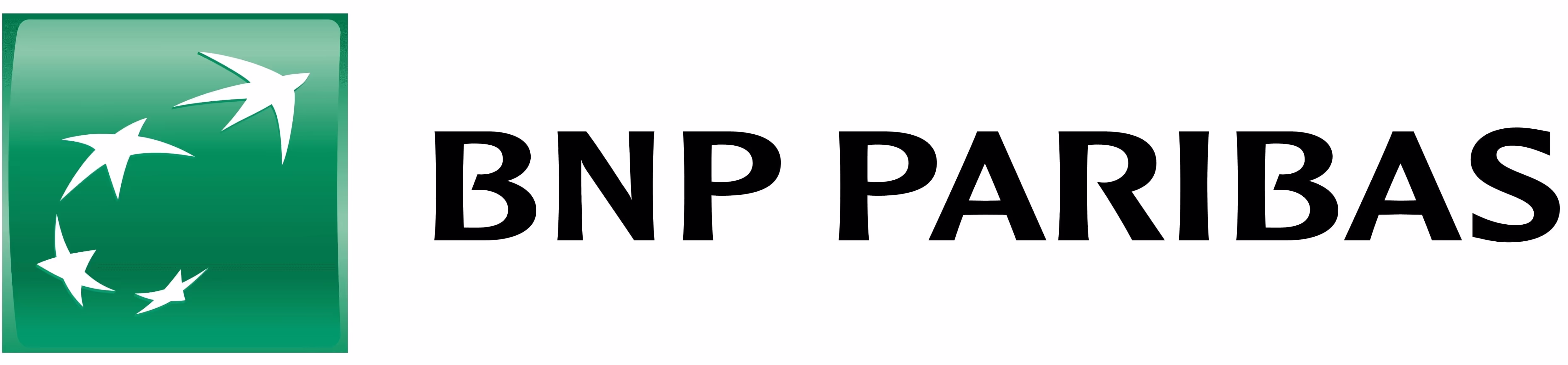 Logo BNP